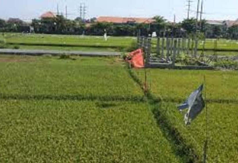 호텔 Ulun Suwi Guesthouse