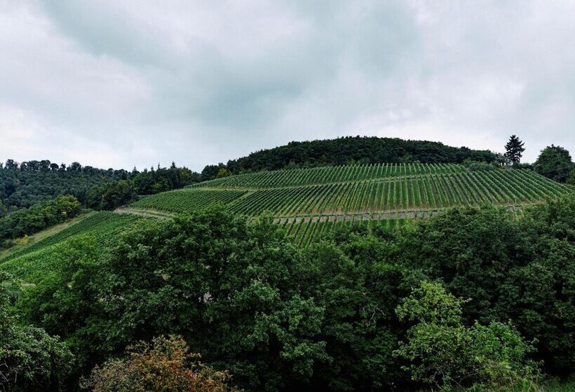 בית מלון כפרי Weingut Hees   Landgasthof Zum Jäger Aus Kurpfalz