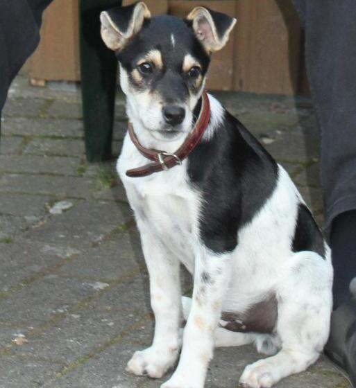 Land Gut Hotel Dierks