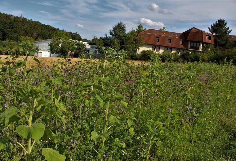 Landhotel Am Rothenberg
