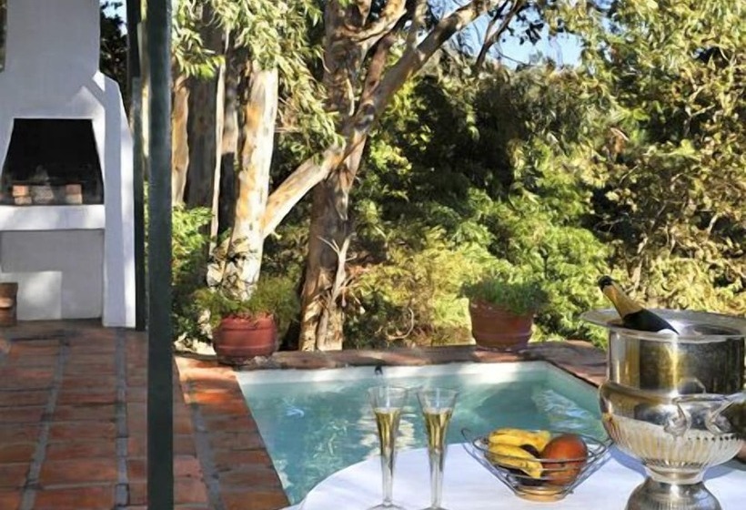 Little Willow Brooke Franschhoek