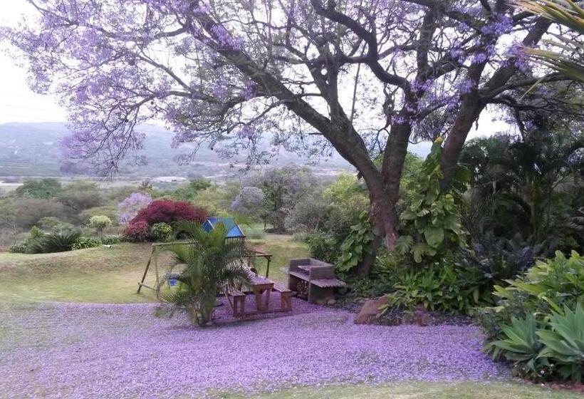 Loerieroep Estate   Mountainview Selfcatering Accommodation Nelspruit