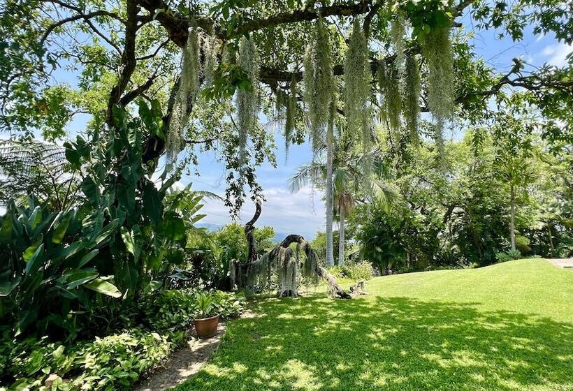 Loerieroep Estate   Mountainview Selfcatering Accommodation Nelspruit