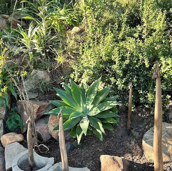 Loerieroep Estate   Mountainview Selfcatering Accommodation Nelspruit