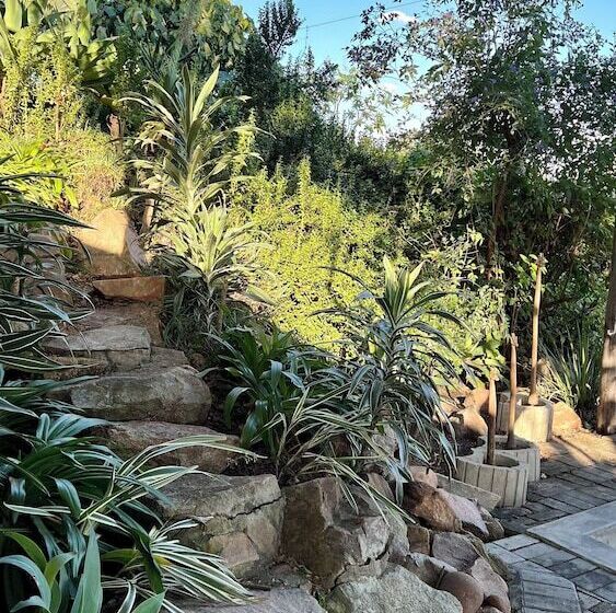 Loerieroep Estate   Mountainview Selfcatering Accommodation Nelspruit