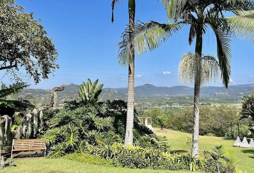 Loerieroep Estate   Mountainview Selfcatering Accommodation Nelspruit