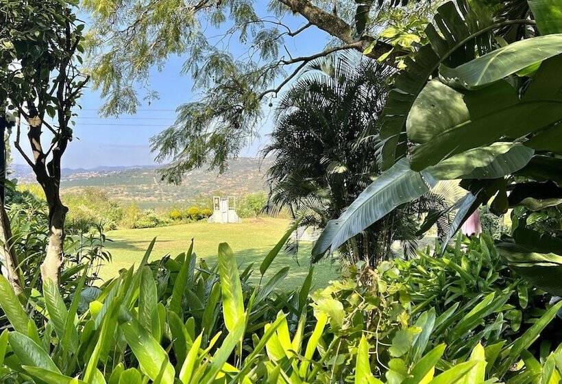 Loerieroep Estate   Mountainview Selfcatering Accommodation Nelspruit