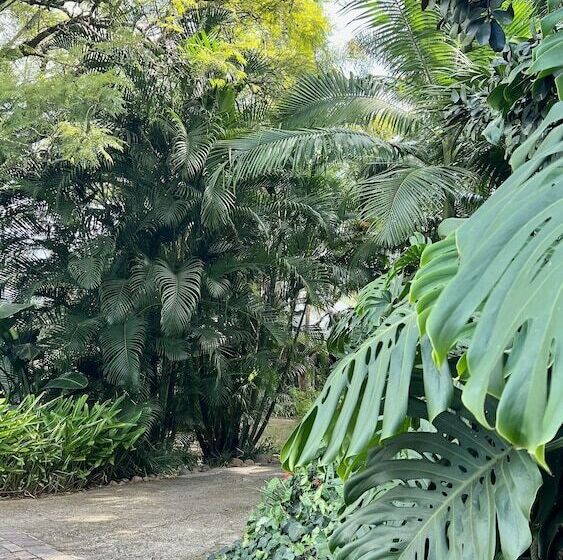 Loerieroep Estate   Mountainview Selfcatering Accommodation Nelspruit