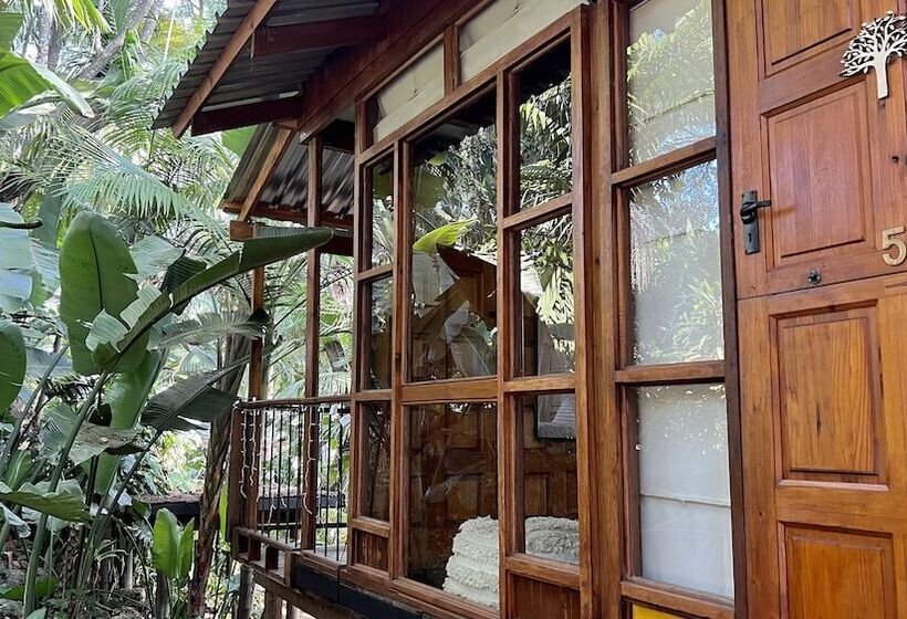 Loerieroep Estate   Mountainview Selfcatering Accommodation Nelspruit