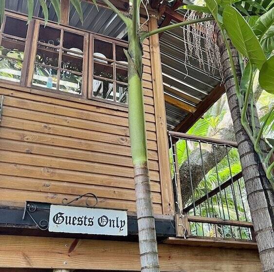 Loerieroep Estate   Mountainview Selfcatering Accommodation Nelspruit