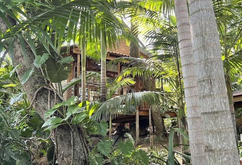 Loerieroep Estate   Mountainview Selfcatering Accommodation Nelspruit