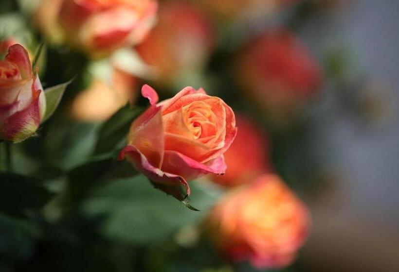 Mangrove Tree Resort World Qingdao