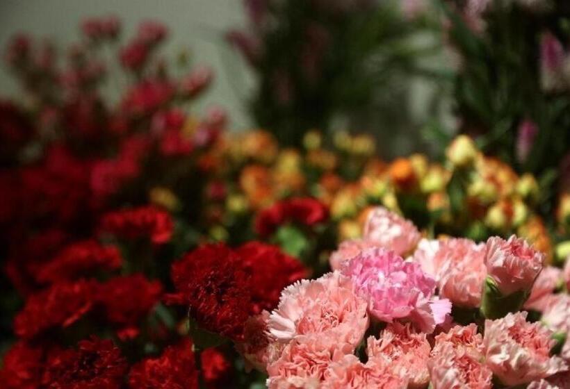 Mangrove Tree Resort World Qingdao