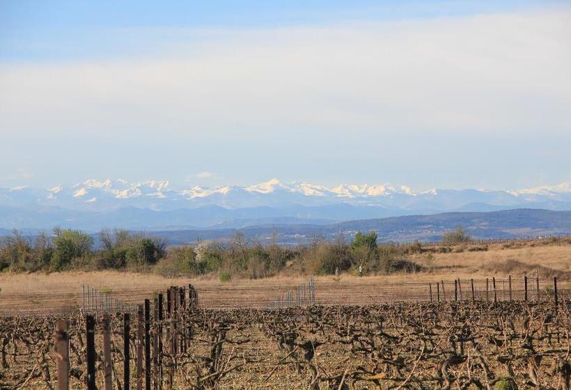 O'vineyards B&b Carcassonne