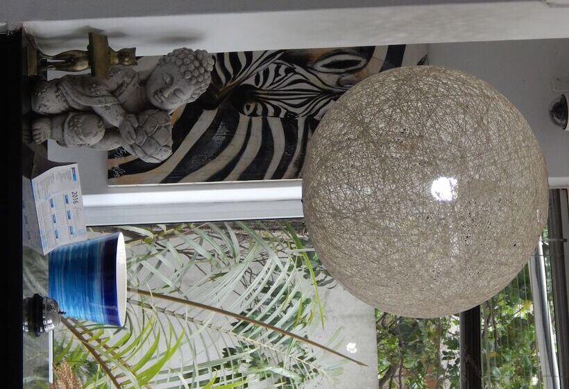 膳宿费 Jacaranda Guesthouse