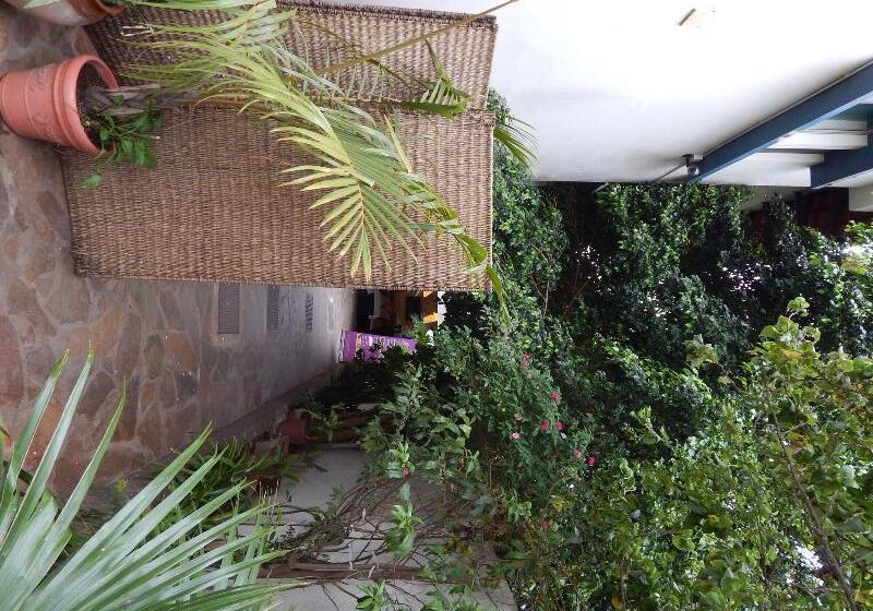 膳宿费 Jacaranda Guesthouse