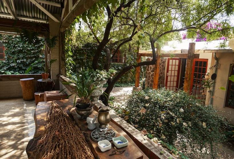 膳宿费 Town And Country Mpumalanga