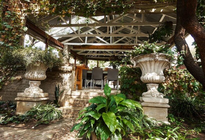 膳宿费 Town And Country Mpumalanga