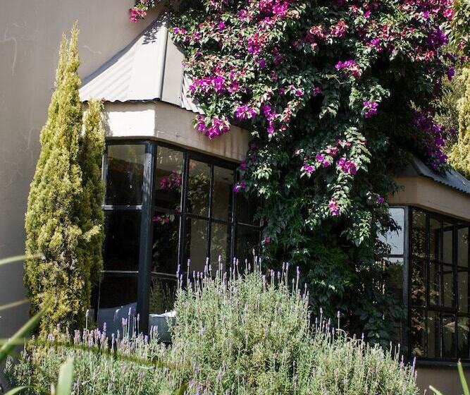 膳宿费 Town And Country Mpumalanga