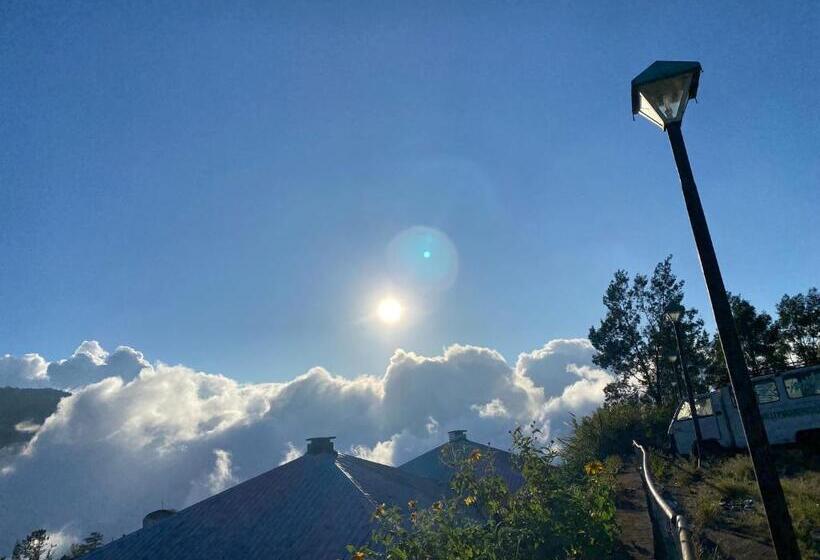 Общежитие Casa Valle Verde