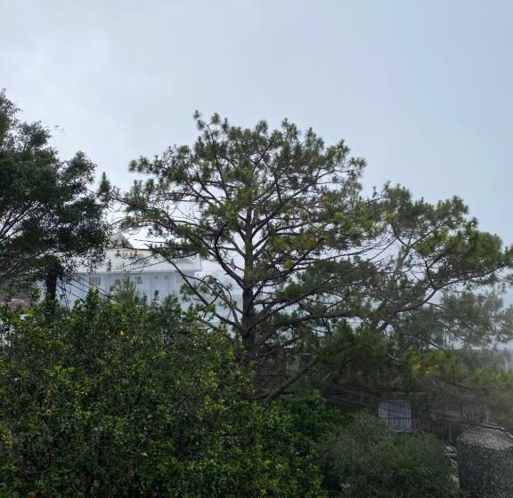 호스텔 Casa Valle Verde