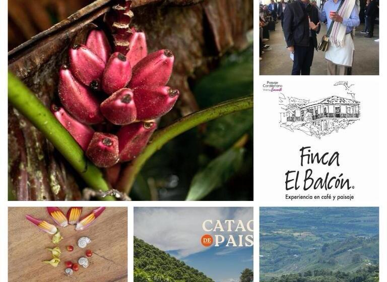 旅馆 Finca Tradicional El Balcón