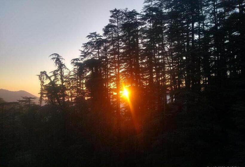 هاستل Tiny Homestay Female Dormitory