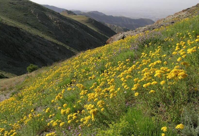 فندق صغير Uhum Guesthouse Nuratau Mountain