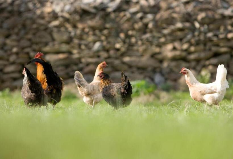 فندق صغير Uhum Guesthouse Nuratau Mountain