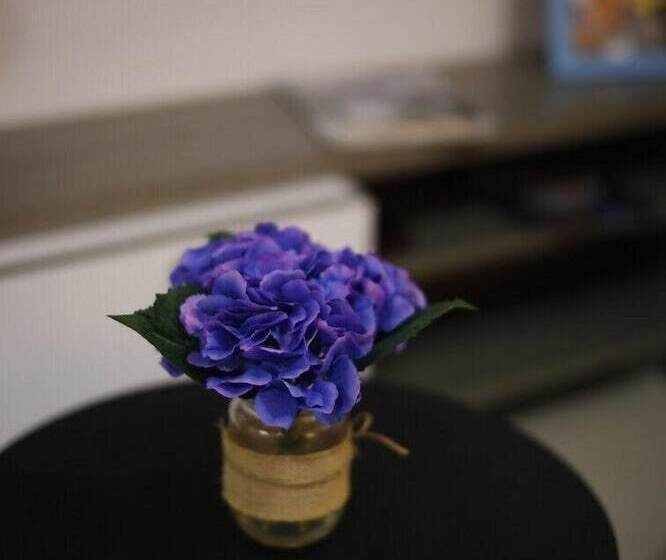 Aparta Hotel Mediterraneo