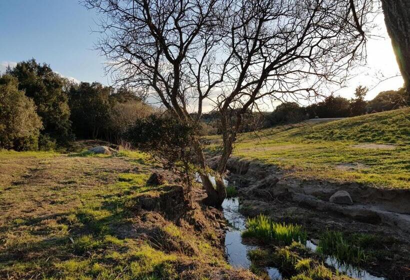 צימר Aldo Countryside
