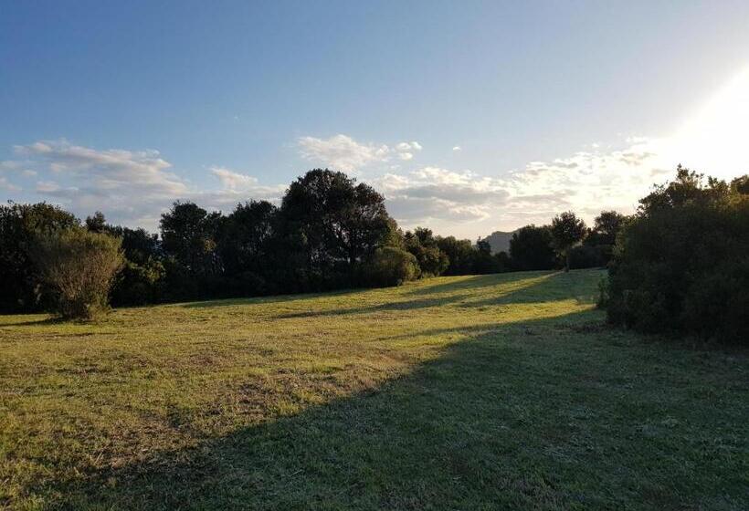 צימר Aldo Countryside