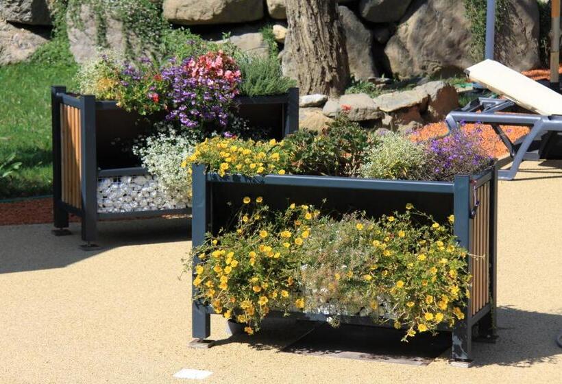 住宿加早餐  Ferme Du Pic D Allier