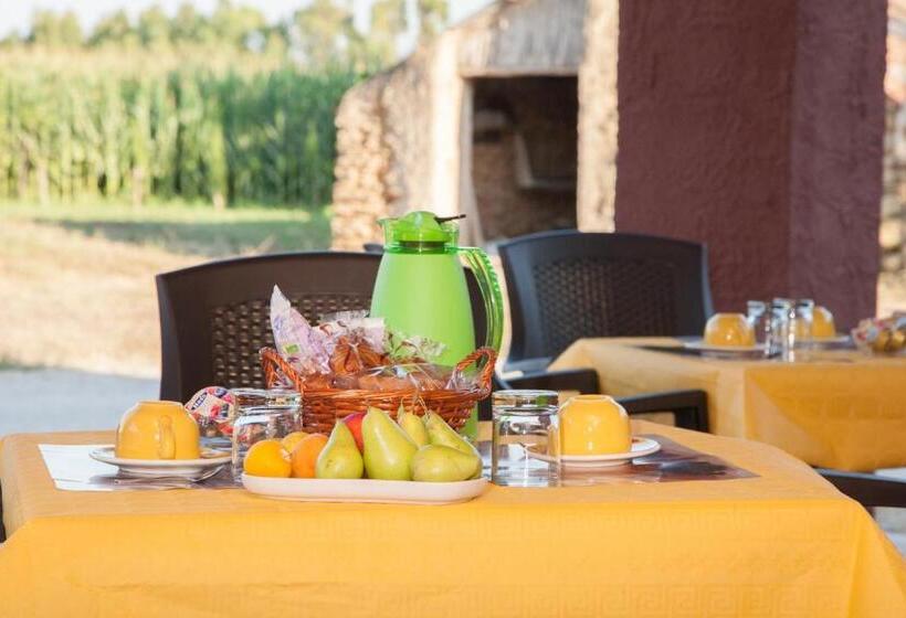 Bed And Breakfast Nonna Pia