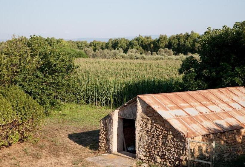 Bed And Breakfast Nonna Pia