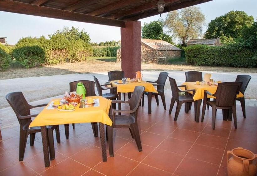 Bed And Breakfast Nonna Pia