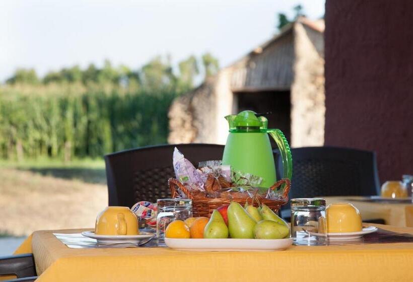 Bed And Breakfast Nonna Pia