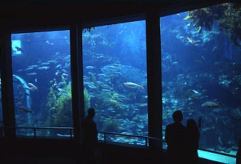 צימר Patagonia Home