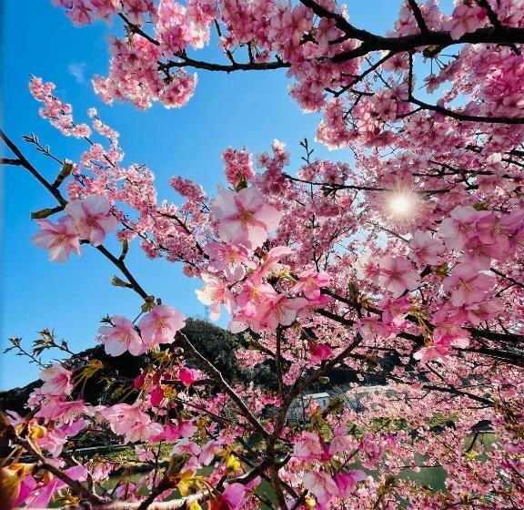 צימר Patagonia Home