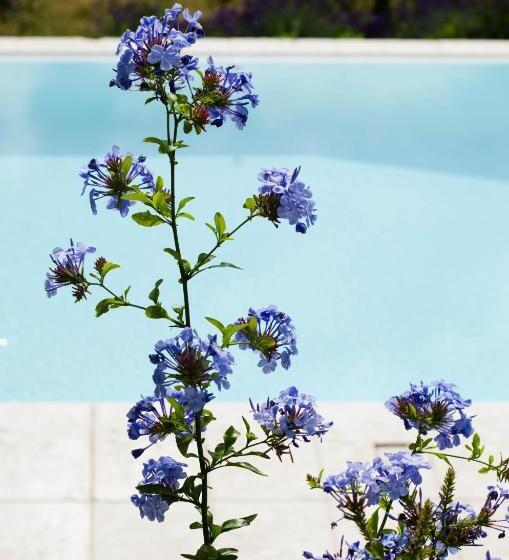 צימר Tenuta San Rocco