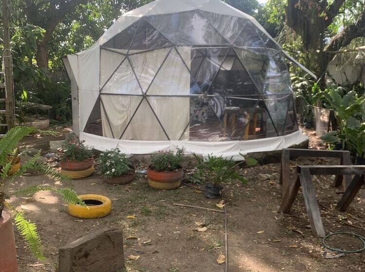 Ecohotel Ambrosia Lodge