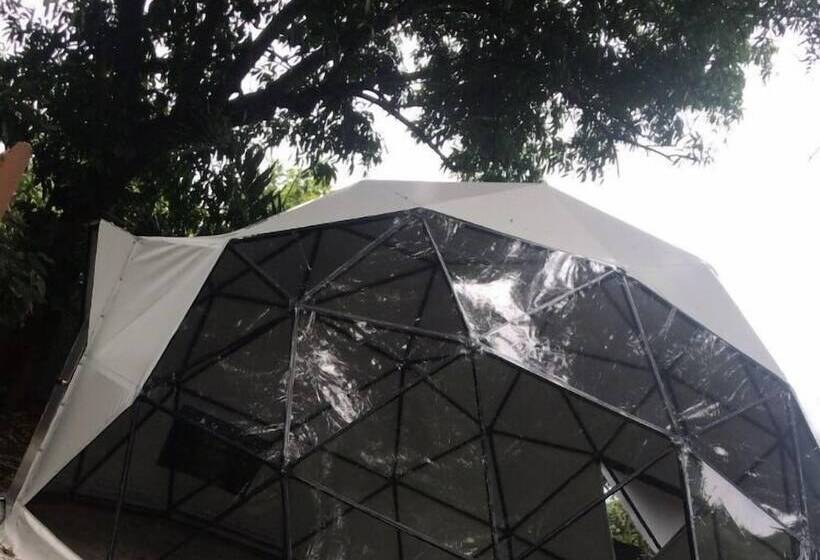 Ecohotel Ambrosia Lodge