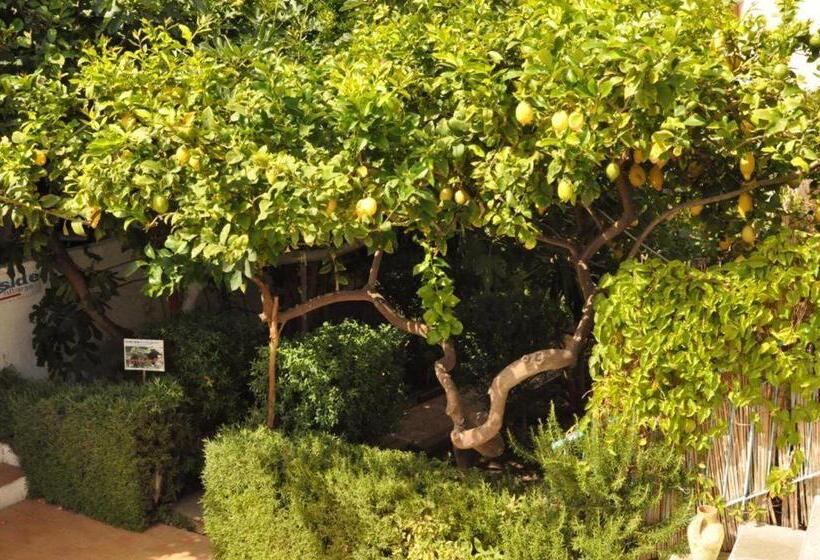 בית מלון כפרי Albergo Seaside