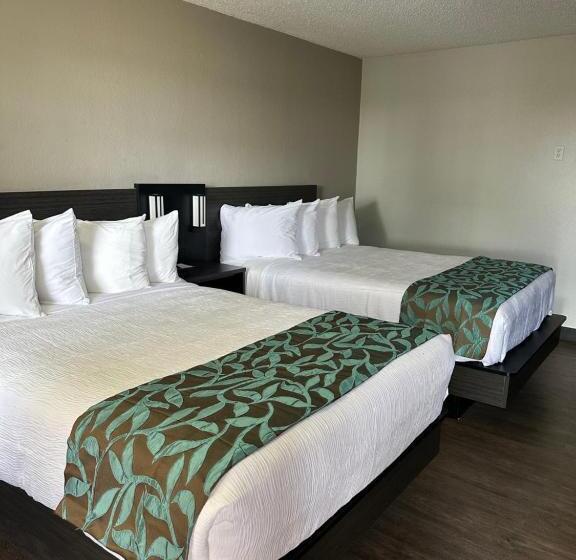 酒店 Baymont By Wyndham Deming