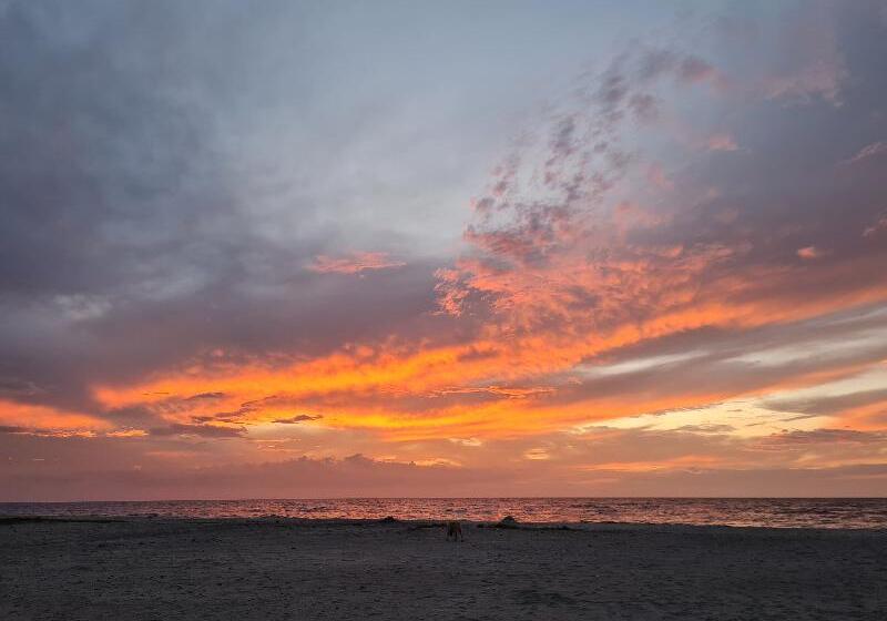 호텔 Chevere Beach Cabanas Sas