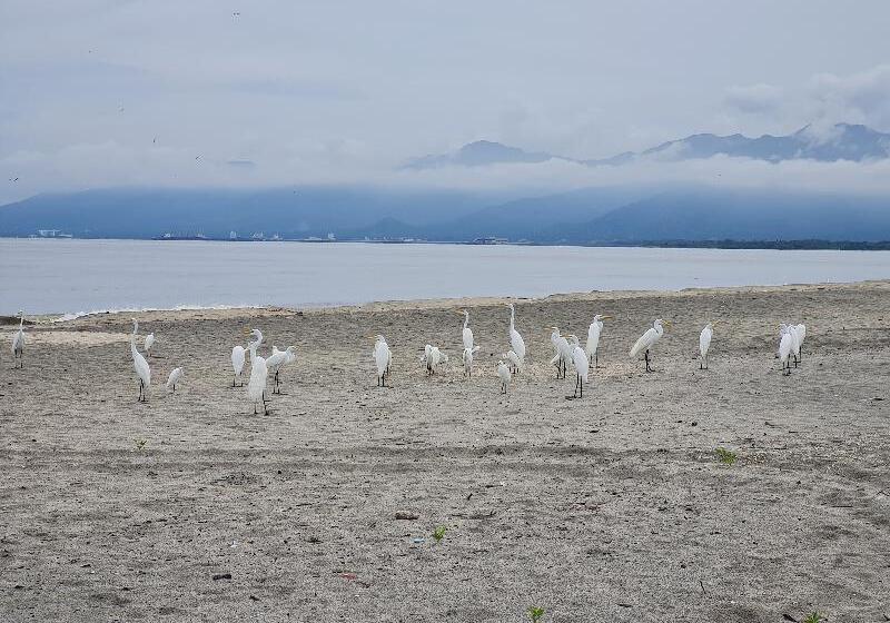 호텔 Chevere Beach Cabanas Sas