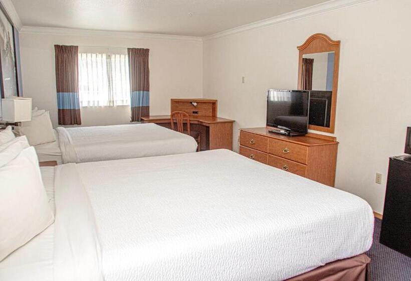 ホテル Creekside Inn & Suites