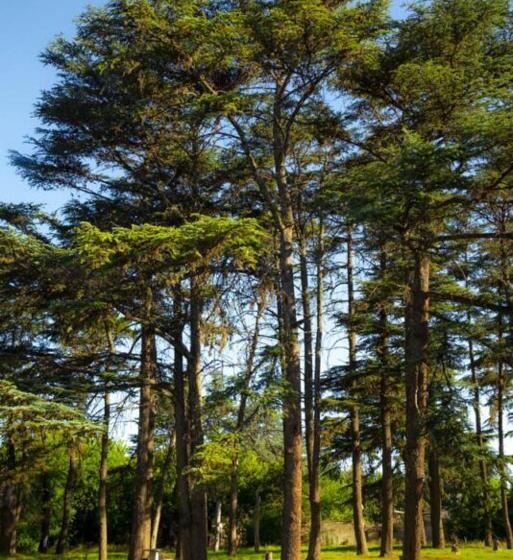 فندق El Libertador