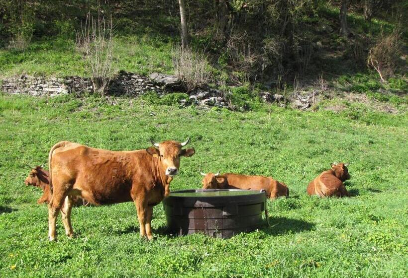 فندق Epicéa Lodge Hôtel