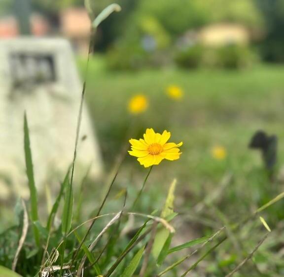 Отель Filandia   Finca Rural La Guadalupana